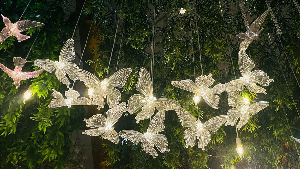 Yash Raj Enterprises